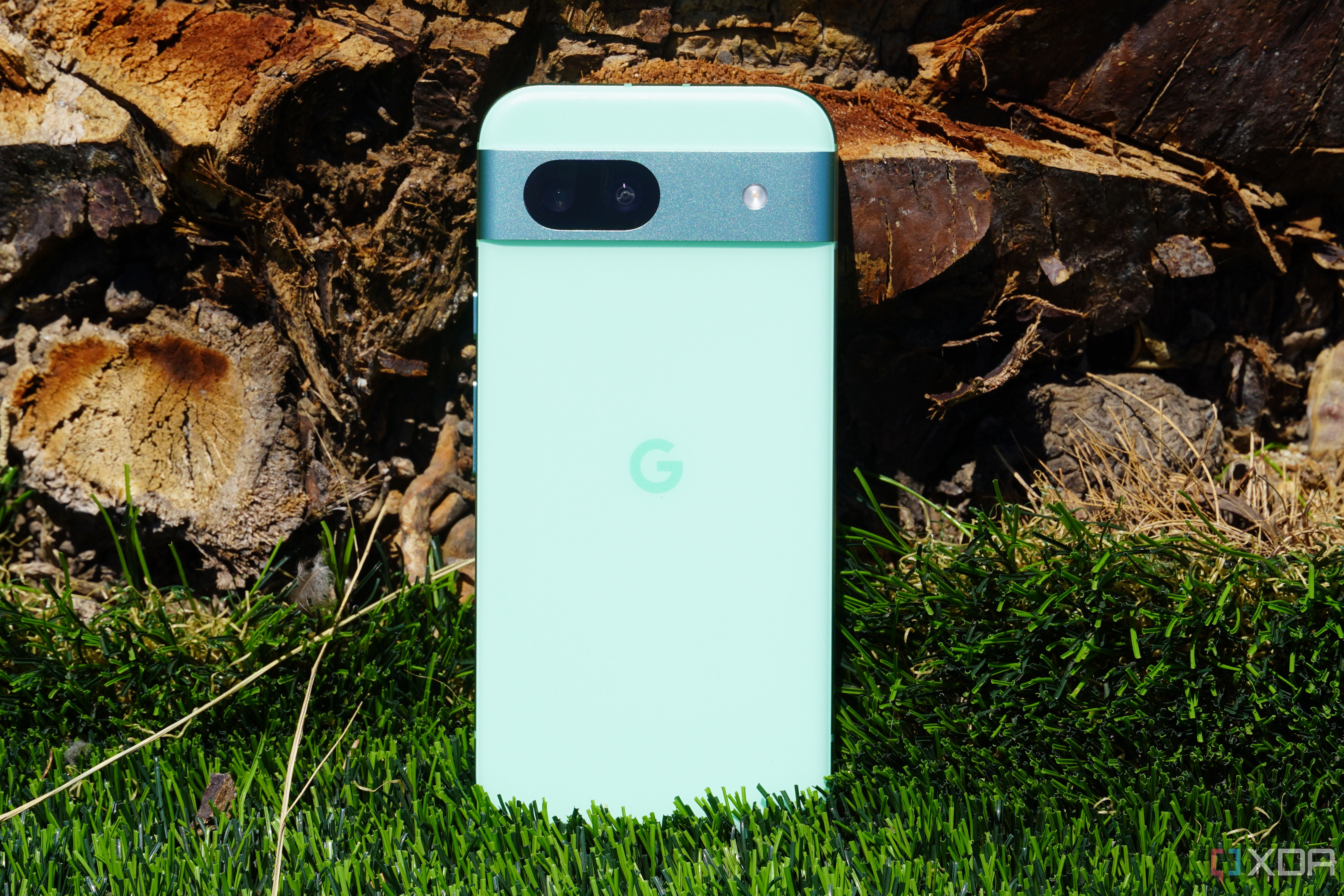 The Google Pixel 8a leaning against the side of a palm tree.