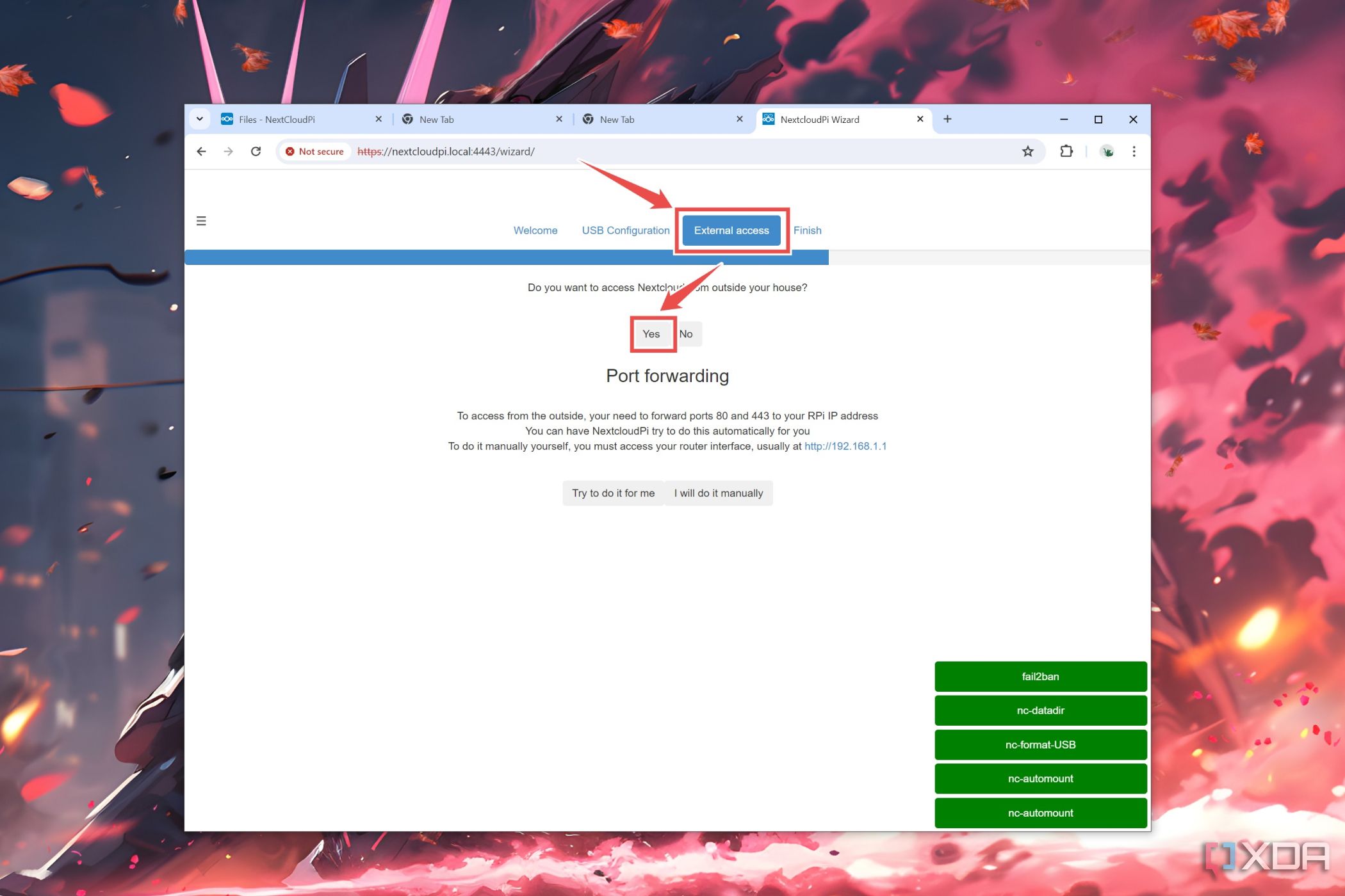 La pestaña Acceso externo en la interfaz web de NextCloudPi