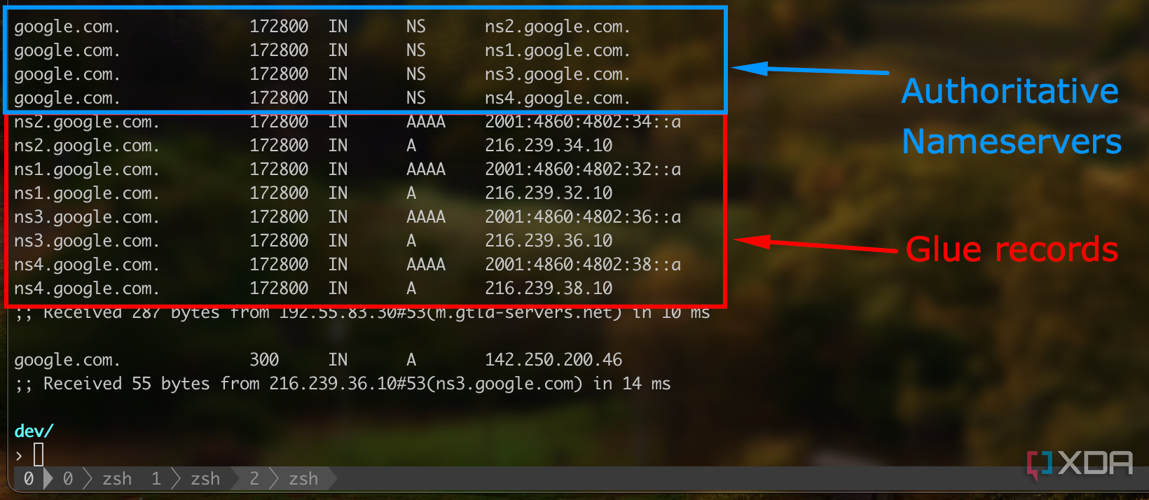 Dig output showing DNS glue records in action.