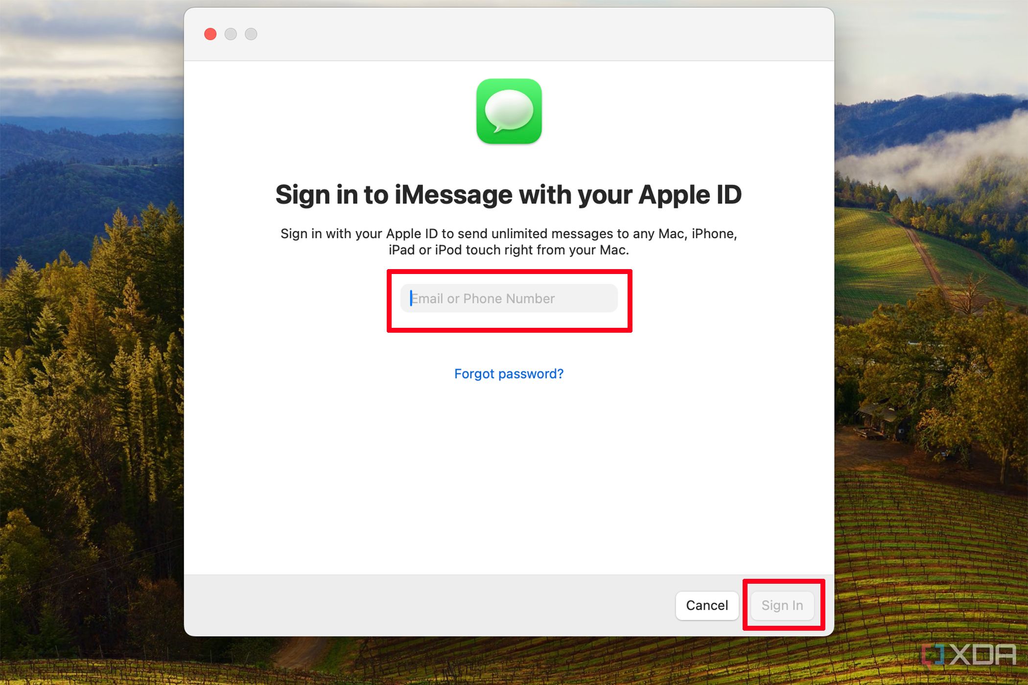 На компьютере Mac отображается окно iMessage со страницей входа для ввода выбранного адреса электронной почты или номера телефона.