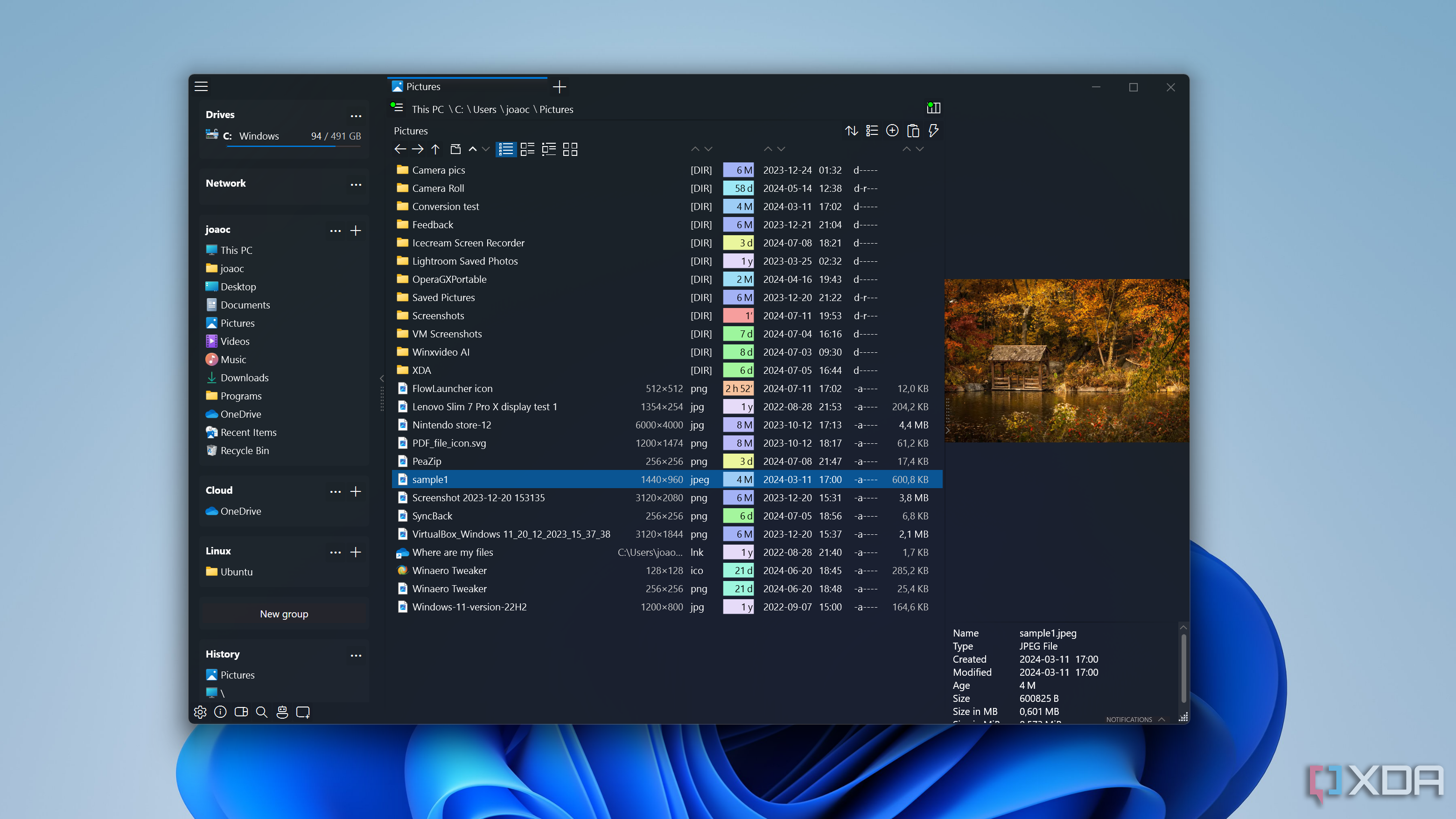 Screenshot of OneCommander in the standard single pane mode