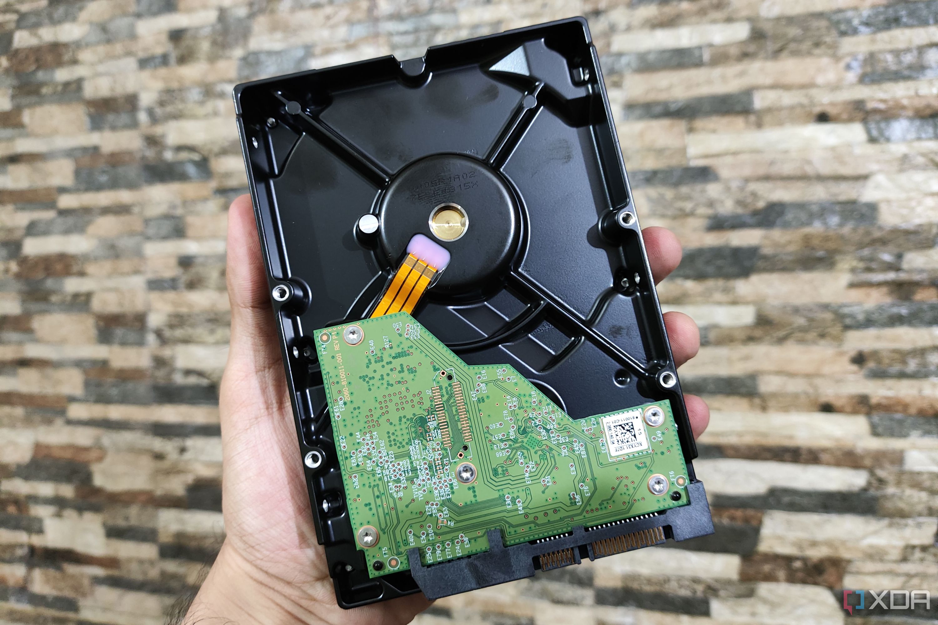 A person holding a WD Blue HDD