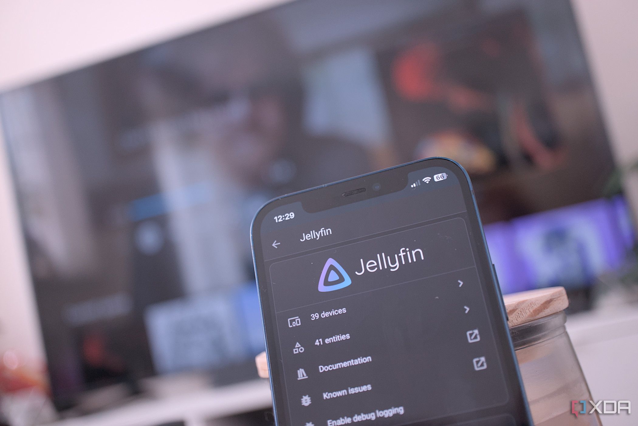 Jellyfin corriendo a través de Home Assistant