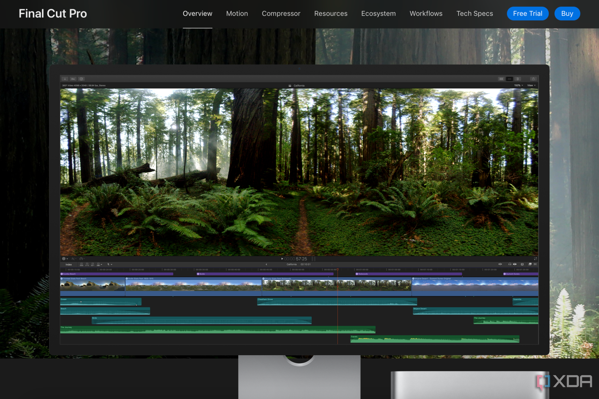 Software de vídeo Final Cut Pro con vídeo de un bosque en la línea de tiempo