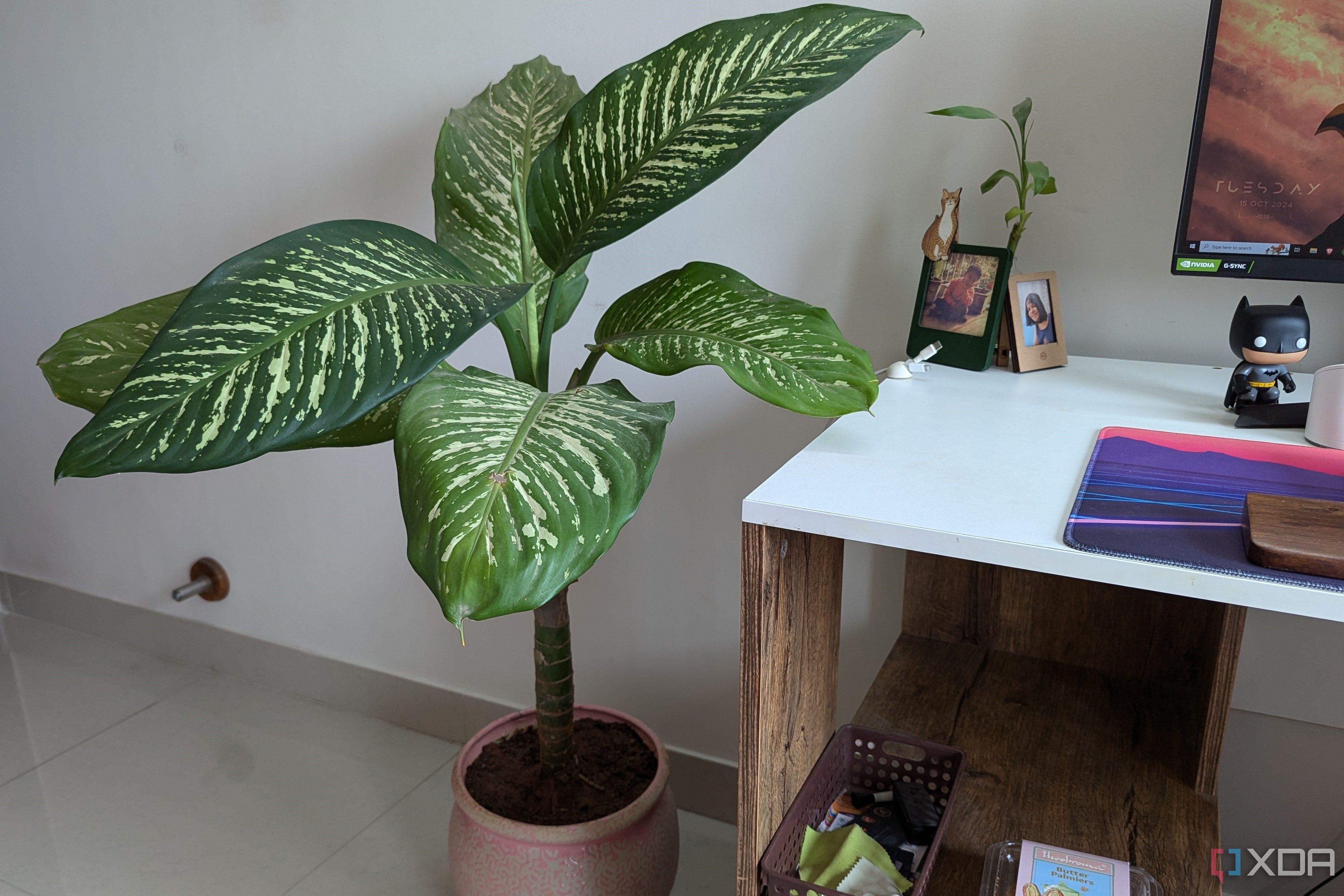 Una planta en maceta en el suelo junto a un escritorio con PC.