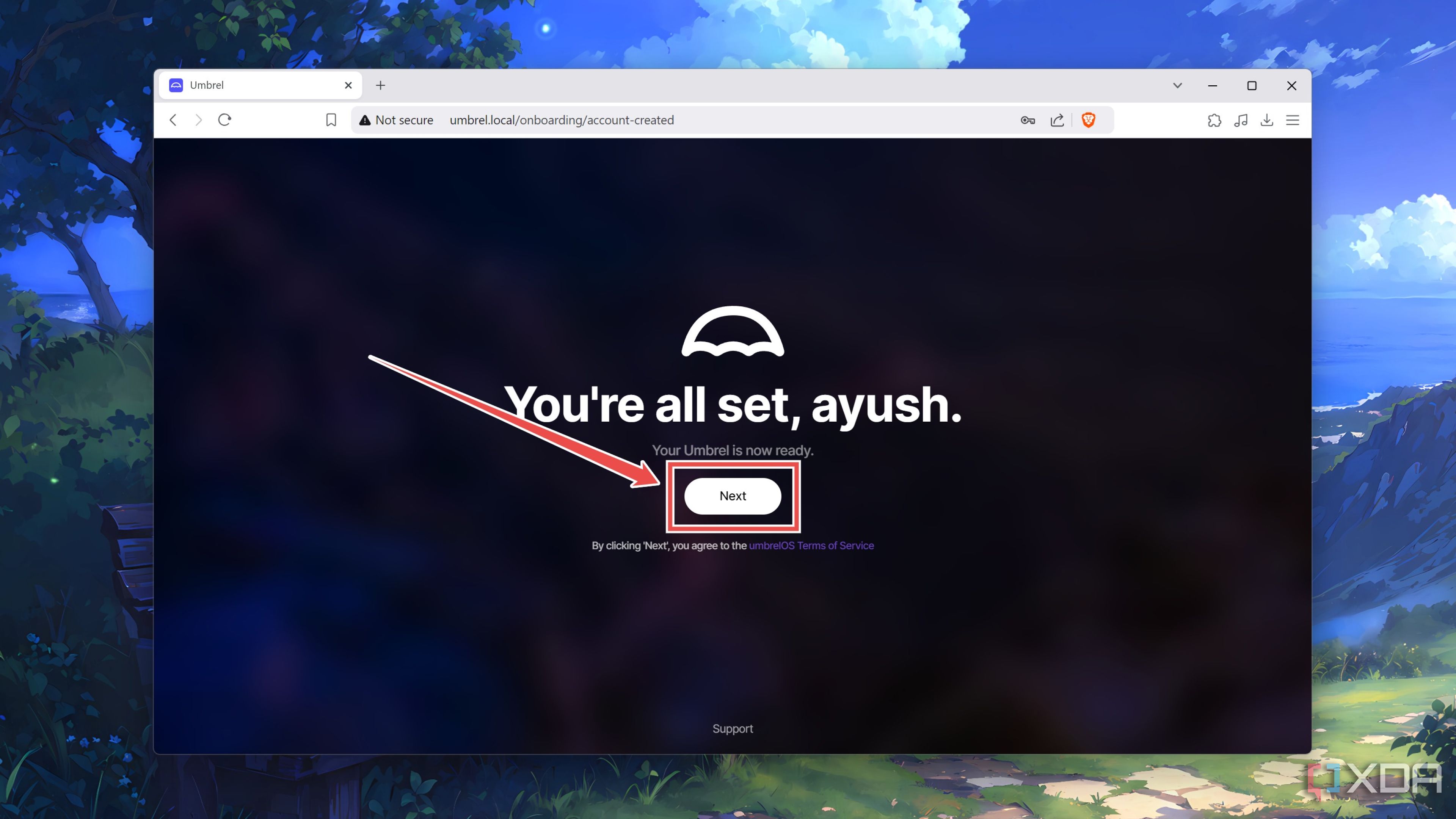 Accepting the terms and conditions inside the UmbrelOS web UI