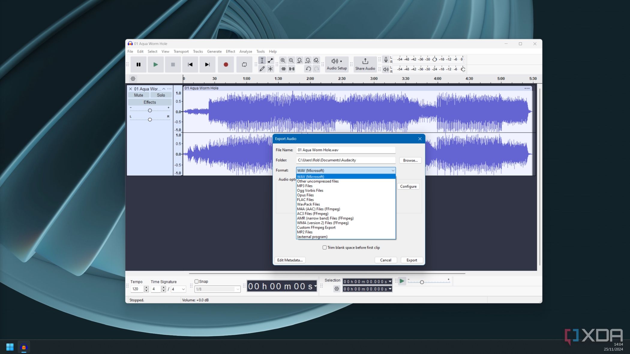 soporte de formato de audio audacity