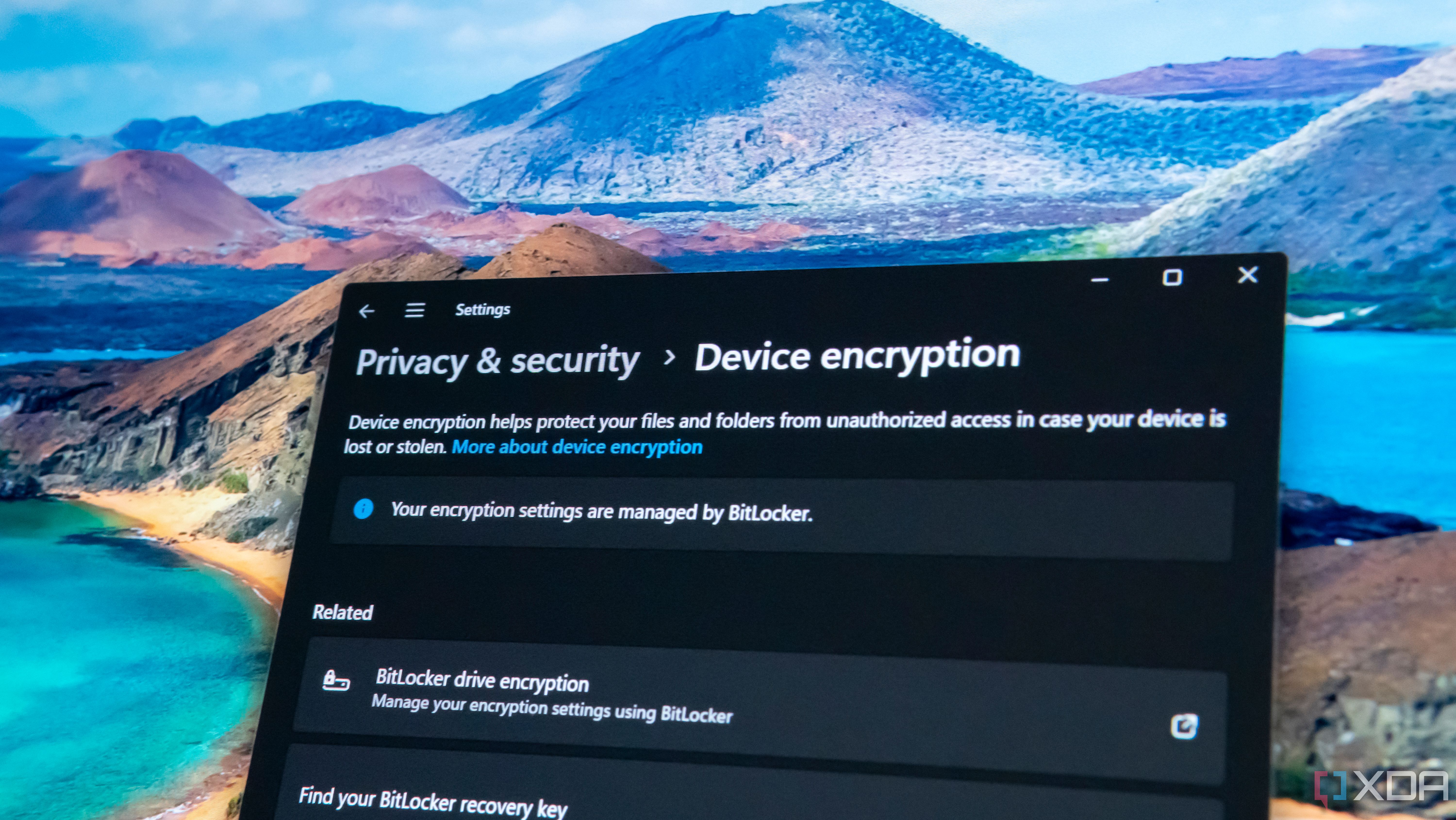 Close-up of a Windows 11 Settings window sowing device encryption options