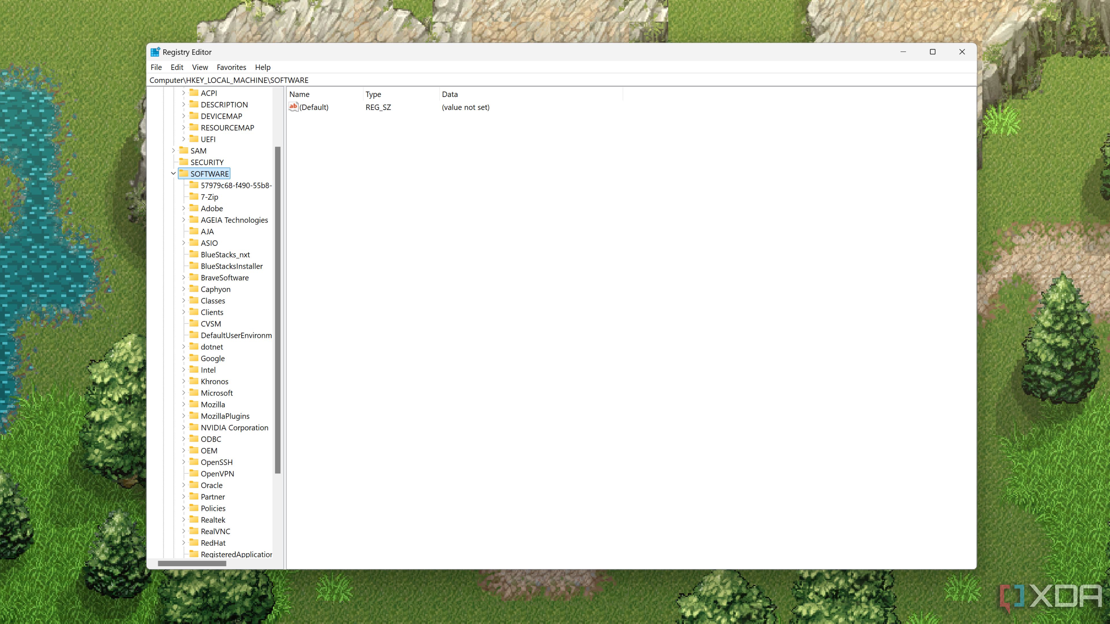 The Registry Editor on Windows 11