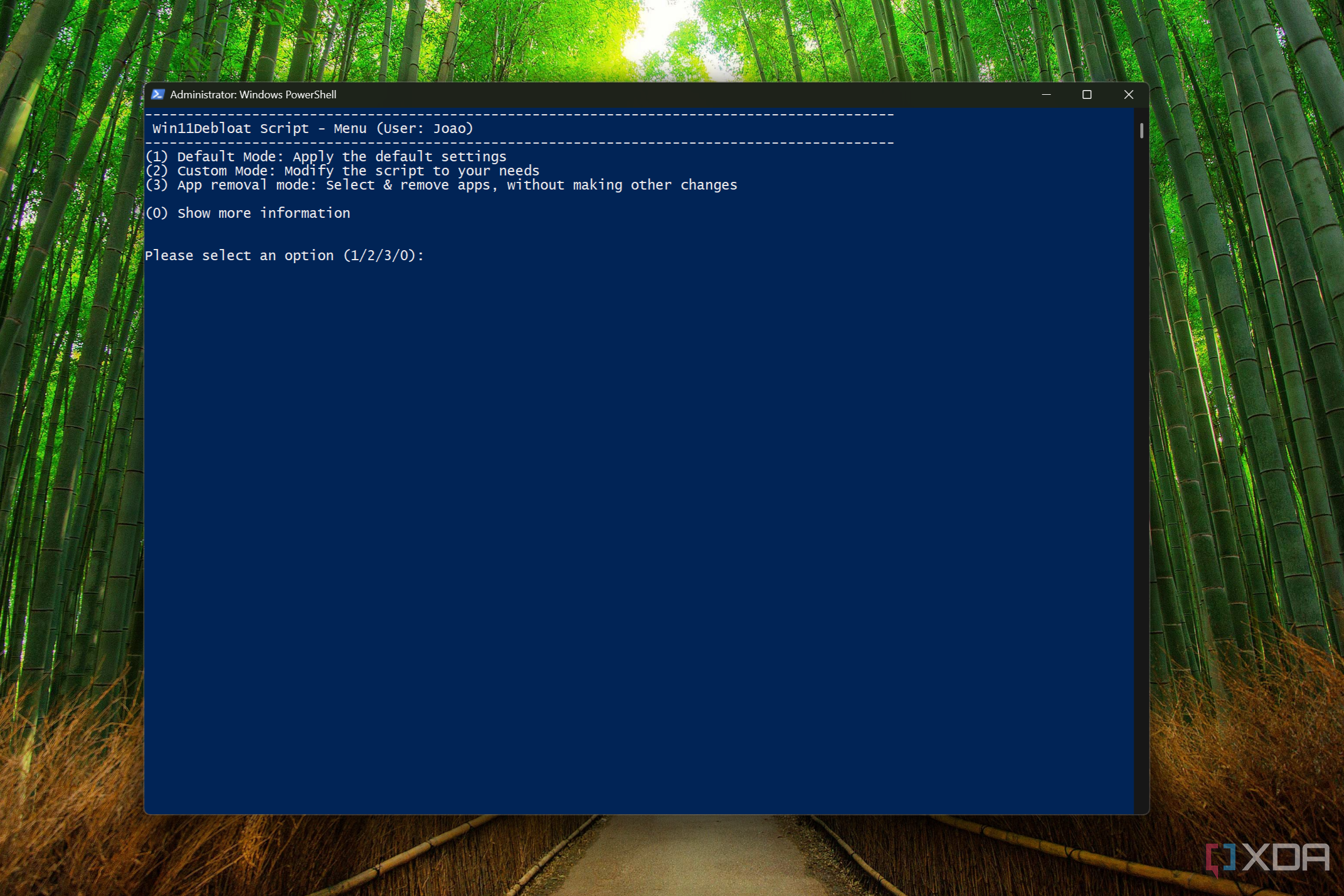 Captura de pantalla de PowerShell ejecutando el script Win11Debloat