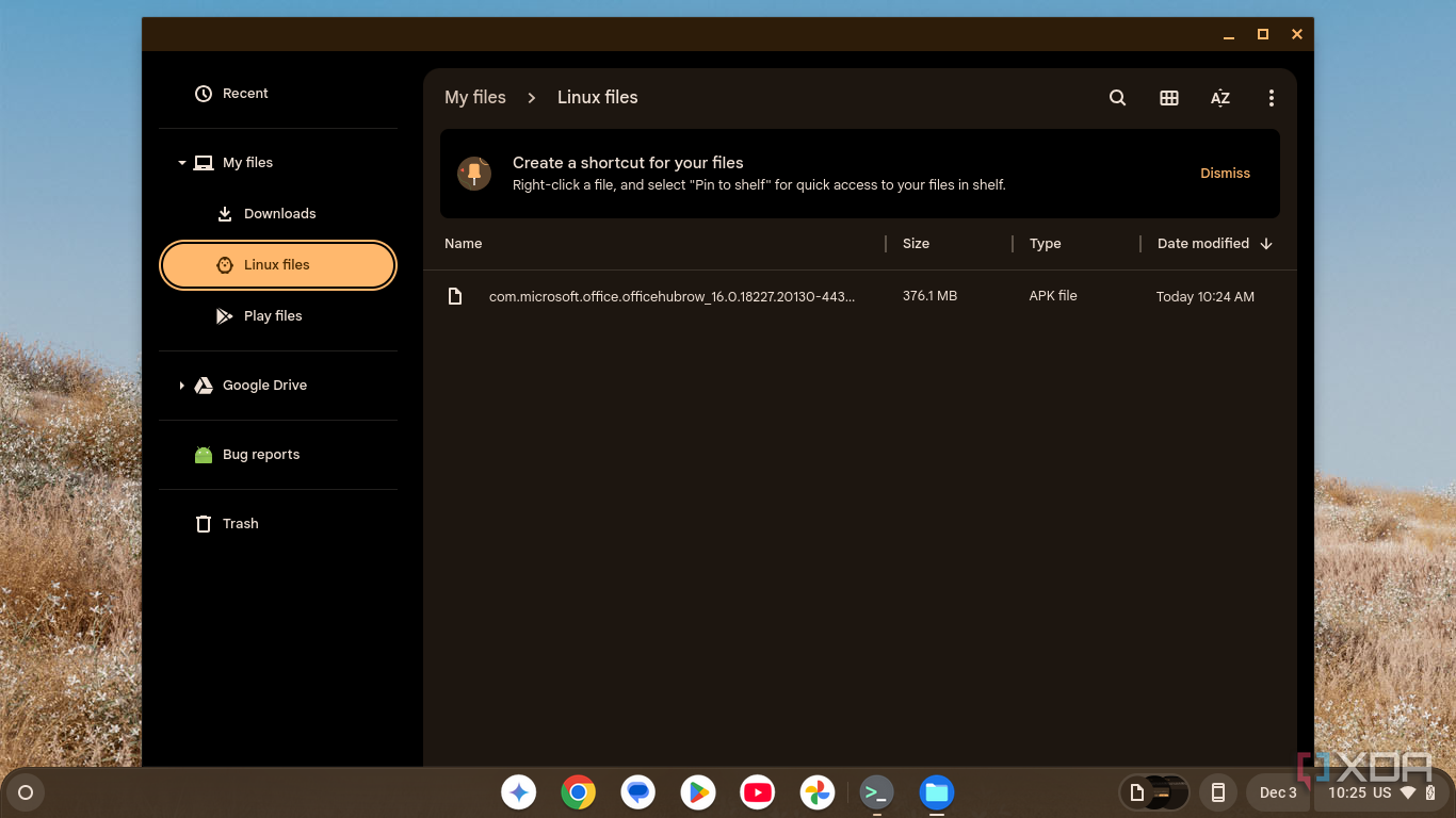 Captura de pantalla de la aplicación de archivos de Chrome OS que muestra un archivo APK en la carpeta de archivos de Linux