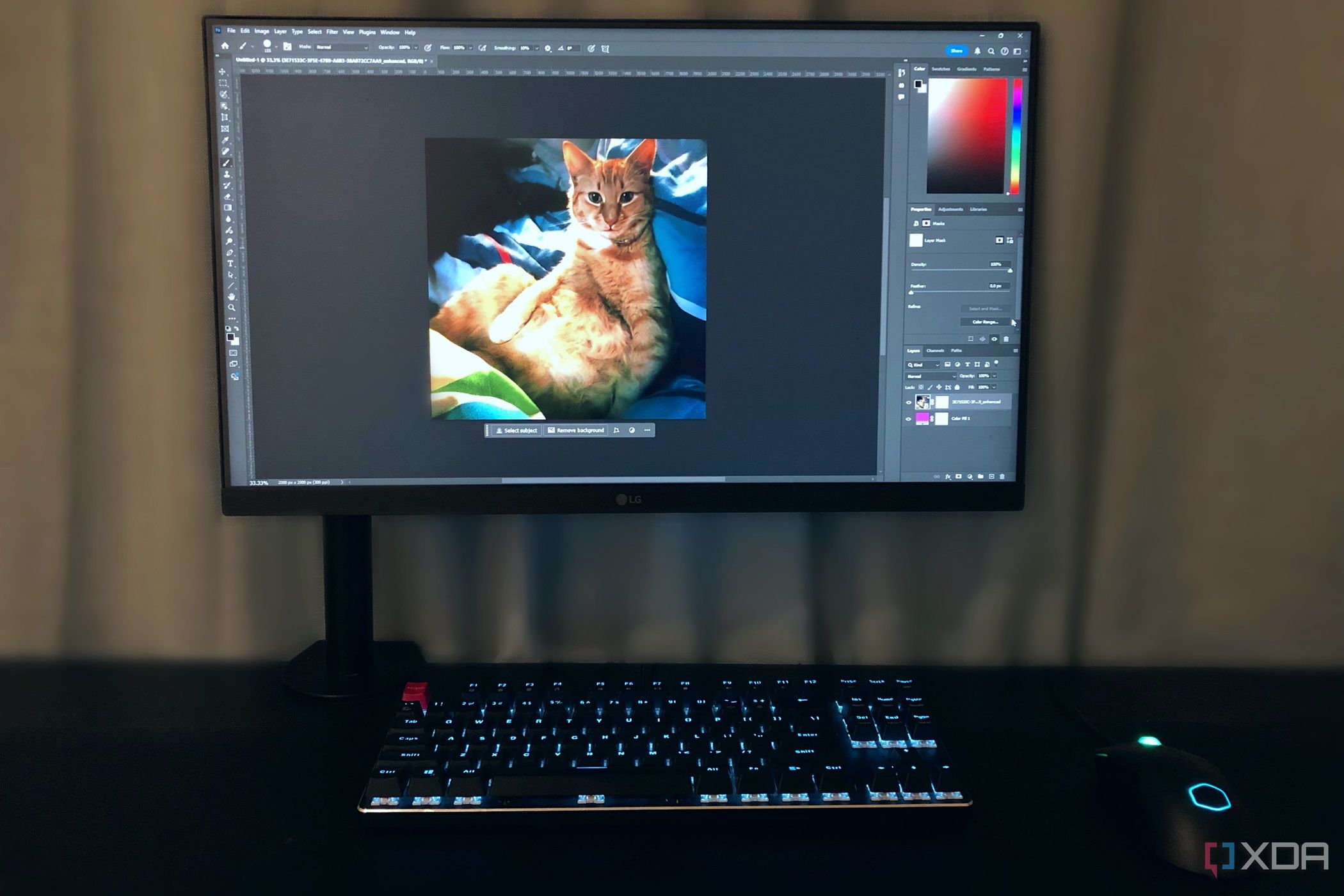 Edición de fotos de un gato pelirrojo en Photoshop en una PC de escritorio