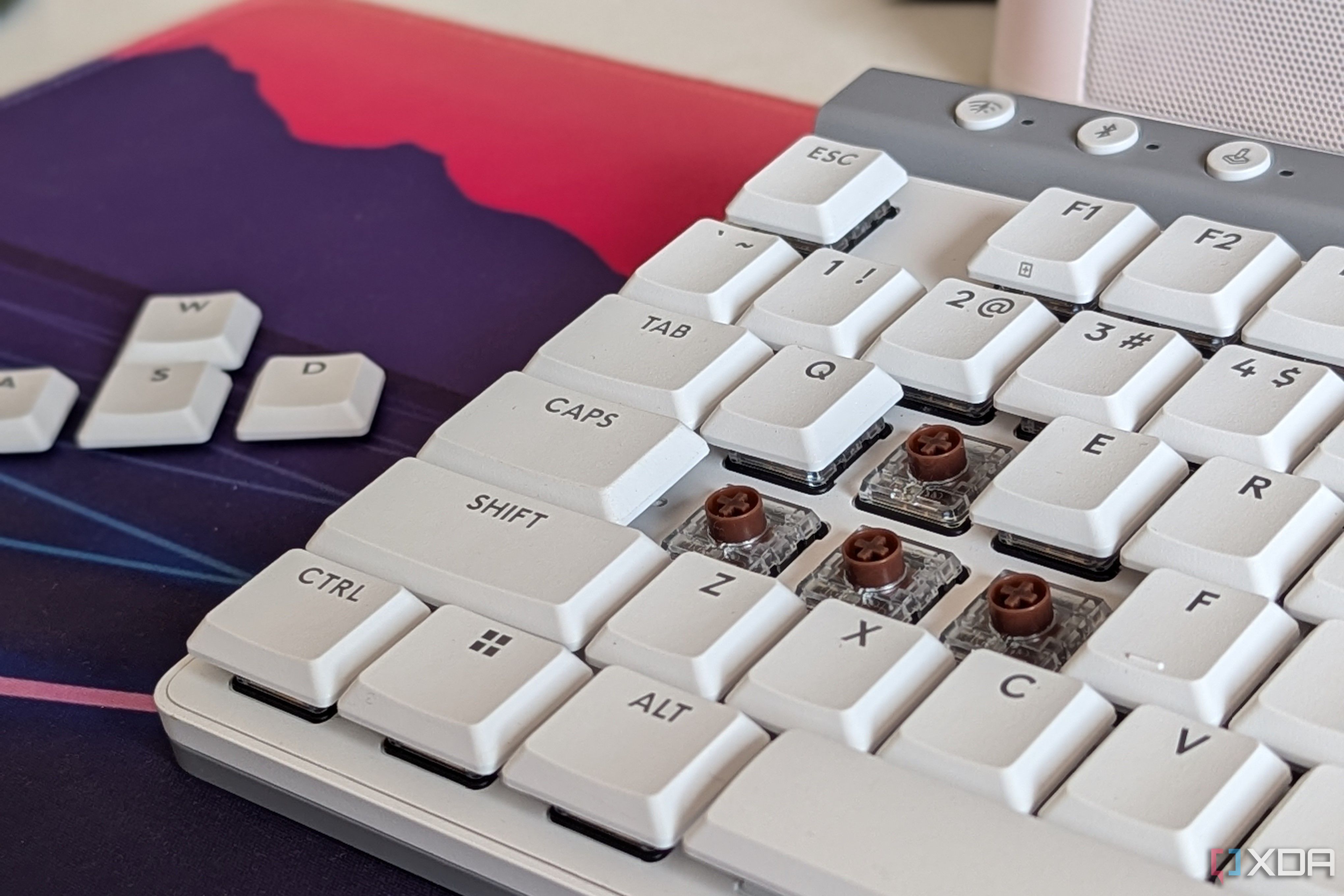 Primer plano de un teclado mecánico blanco que muestra interruptores marrones