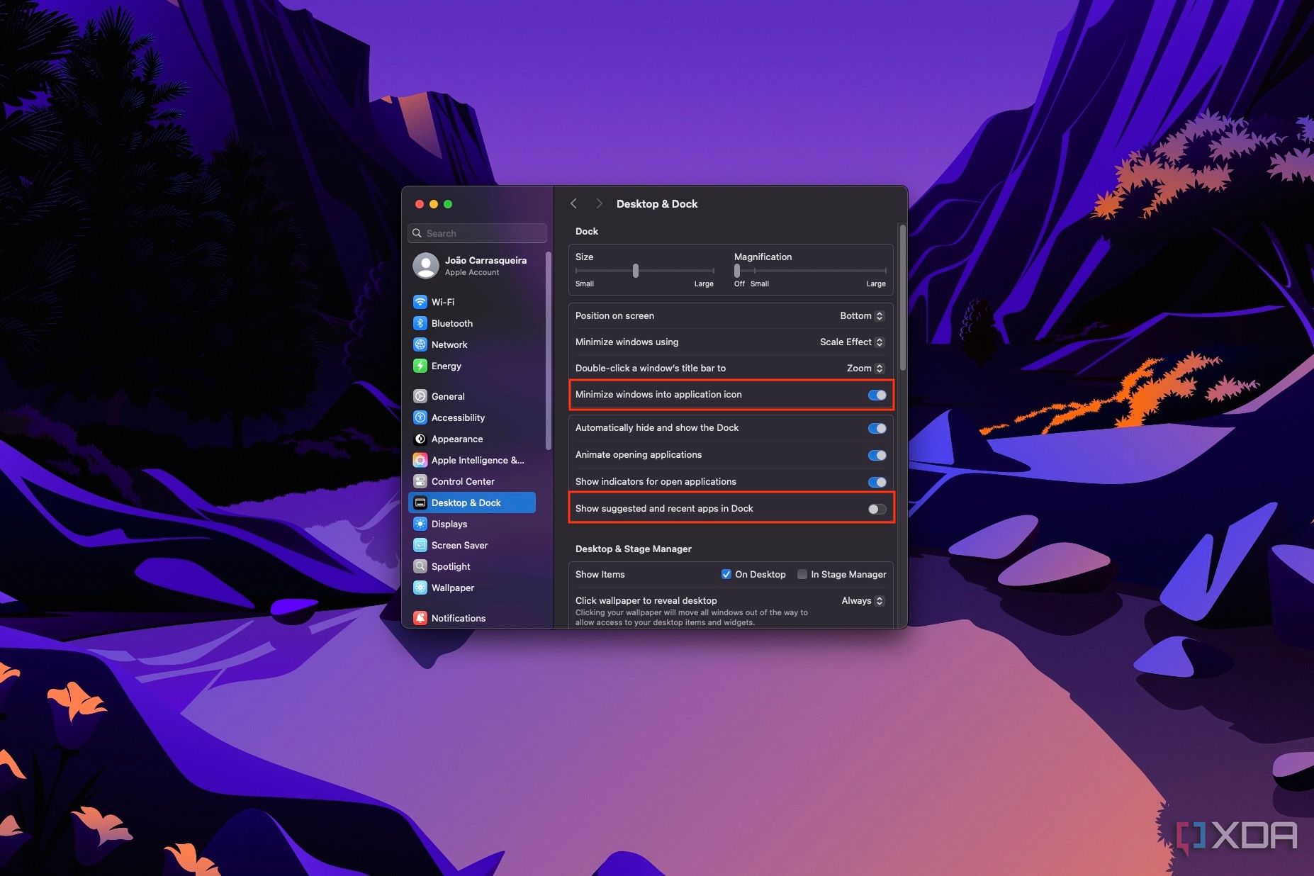 Screenshot of Desktop & Dock settings in macOS with the option to minimize windows to app icons enabled and the option to show recent and suggested apps in the Dock disabled