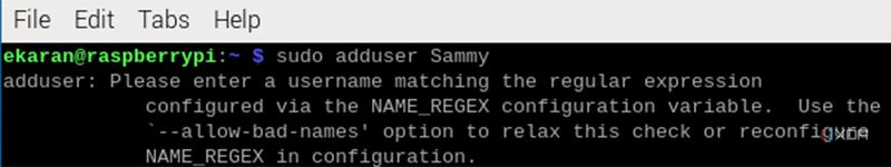 Permitir error de nombres incorrectos en Raspberry Pi