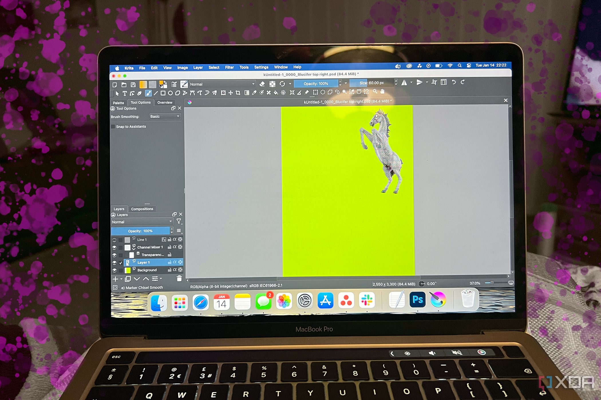 Krita en MacBook con salpicaduras rosas a su alrededor