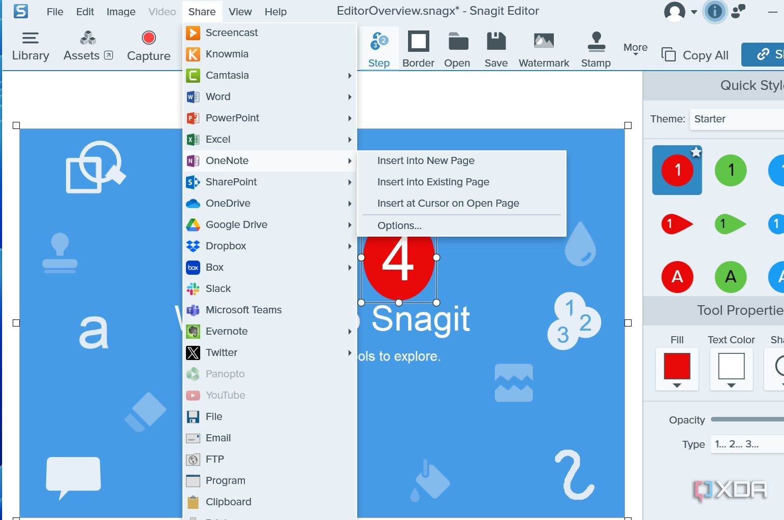 Snagit syncing options