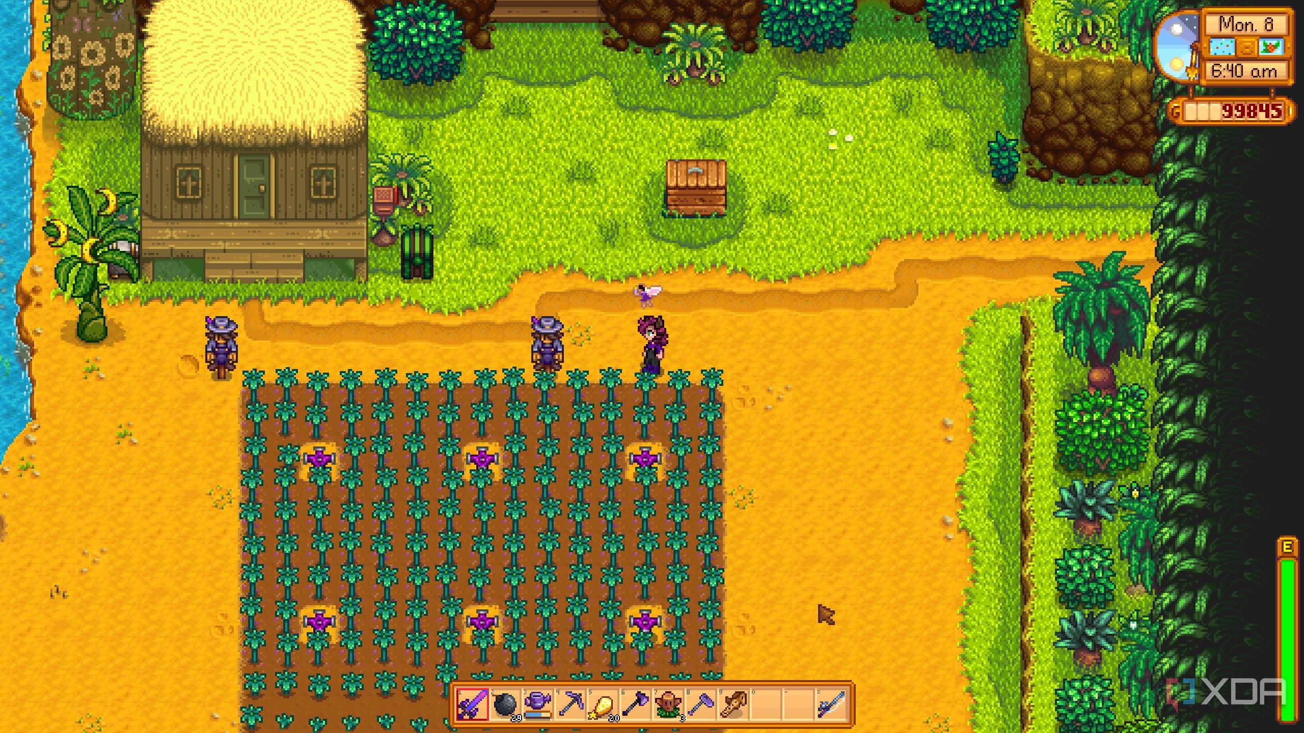 the ginger island farm in stardew valley