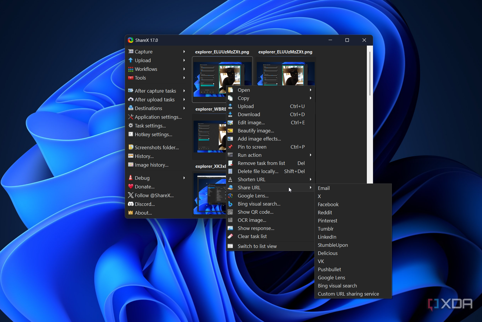 sharing options in sharex