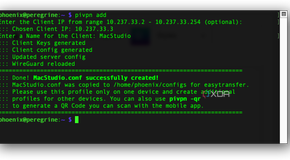 PiVPN Add-1