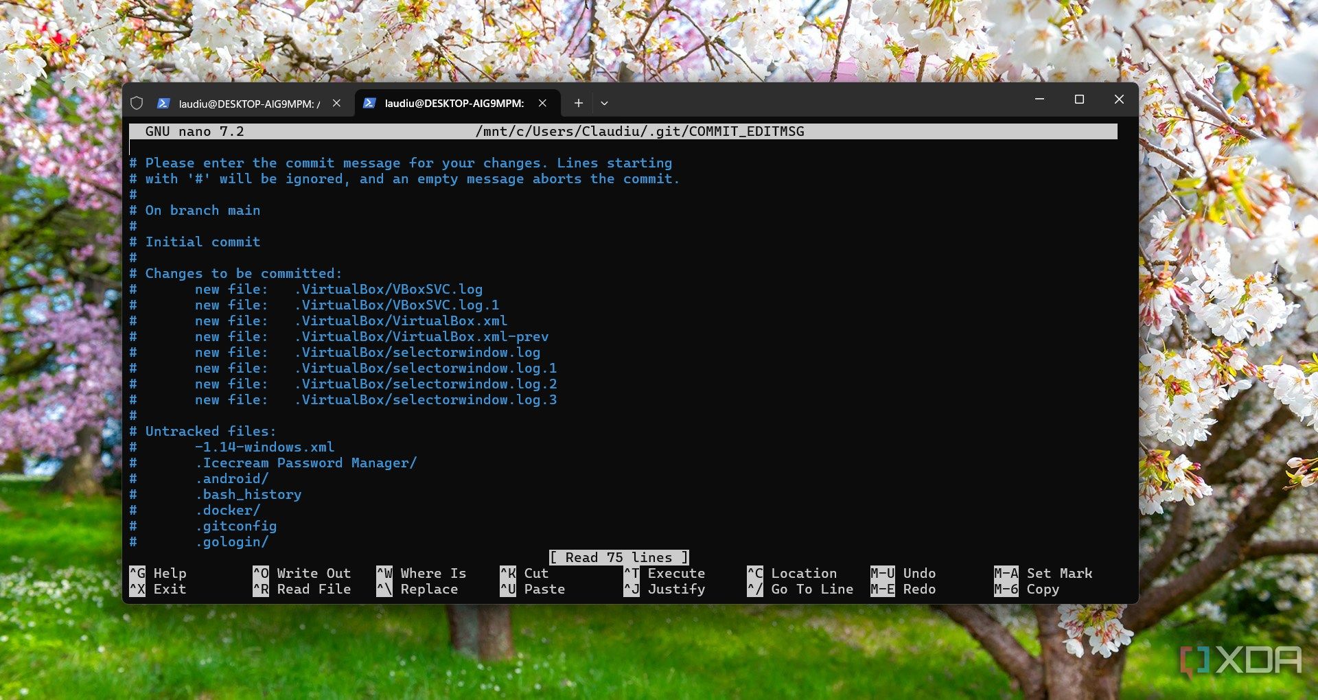 Ejecutando Git en Windows 11 en WSL
