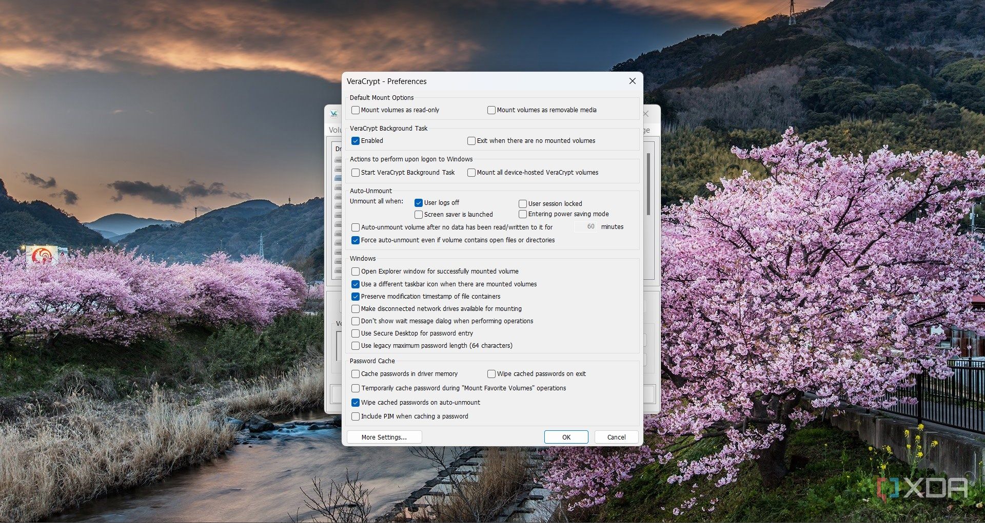 Screenshot of VeraCrypt's preferences window
