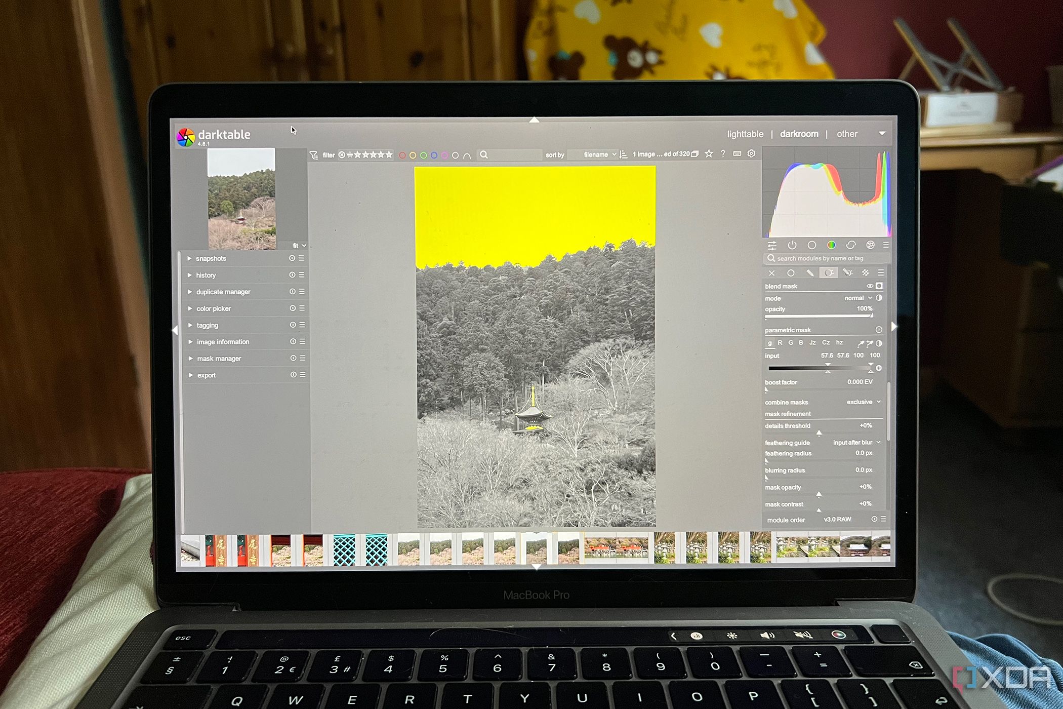 Darktable parametric mask used on a Japanese temple photo
