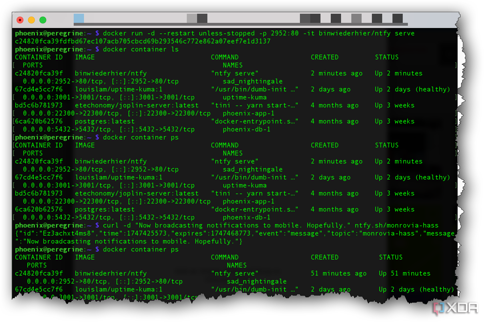 terminal commands for ntfy