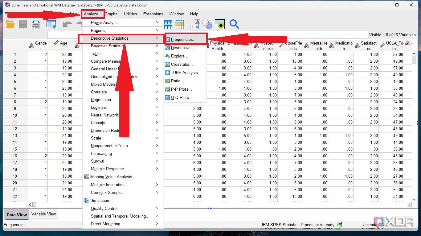 Click analyze and descriptive statistics