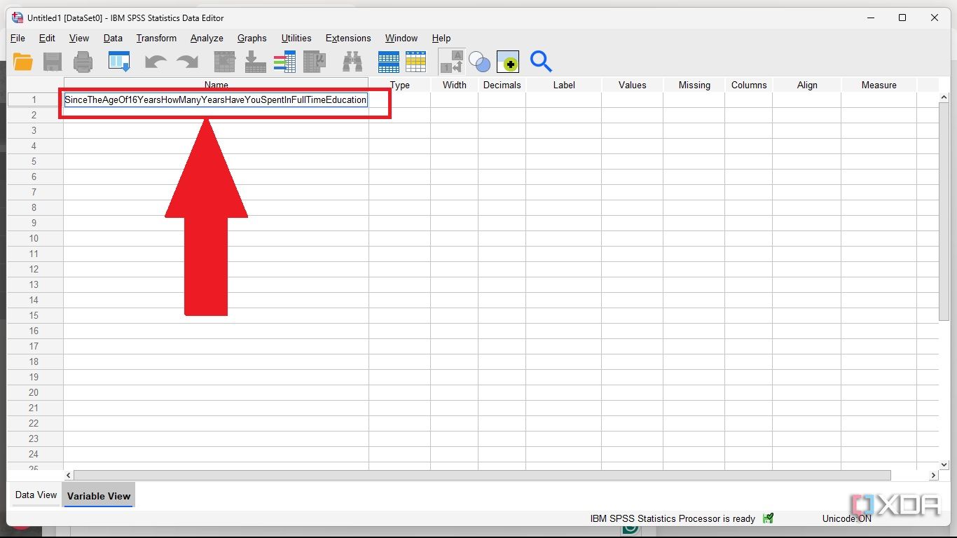 Input SPSS Variable name