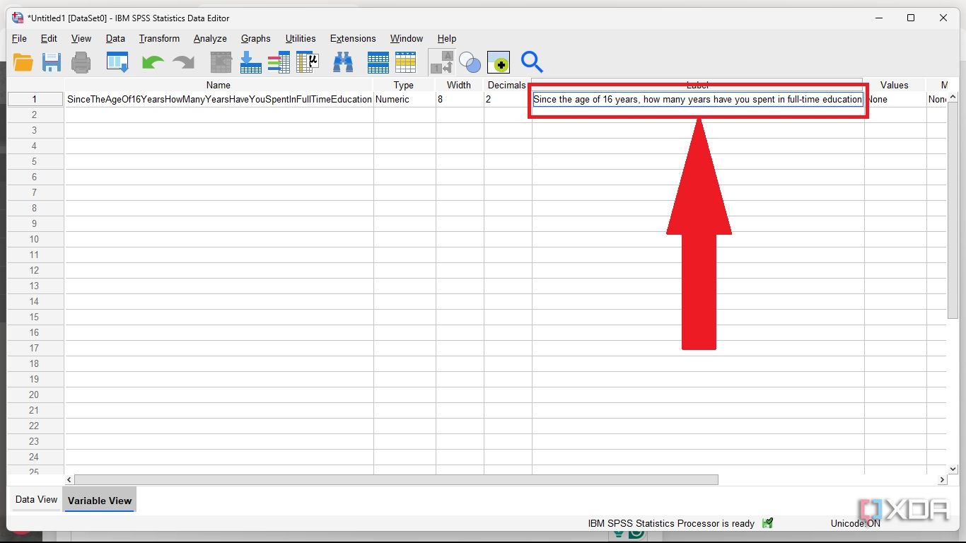 SPSS Variable label