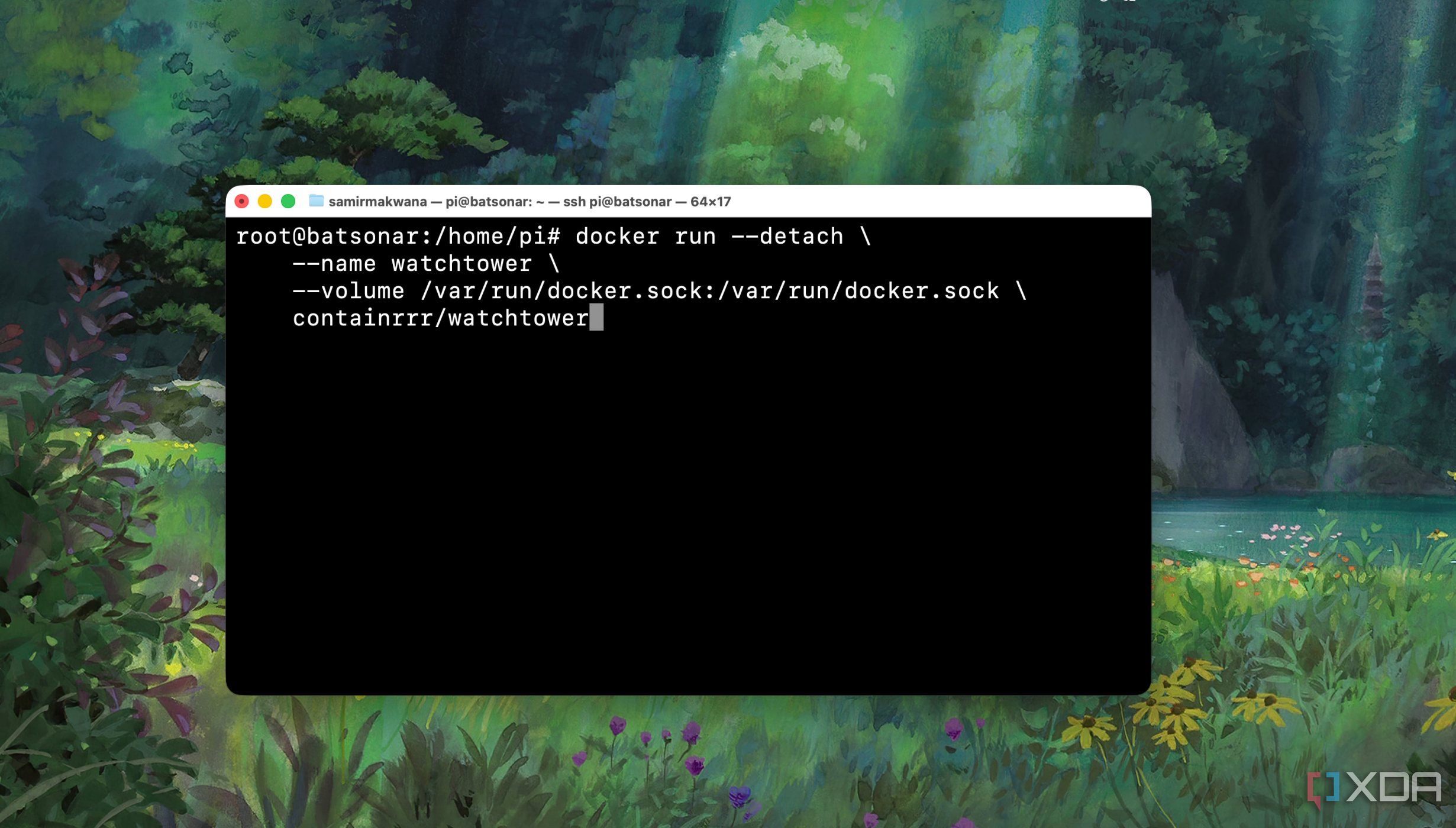 Docker run command from Terminal example