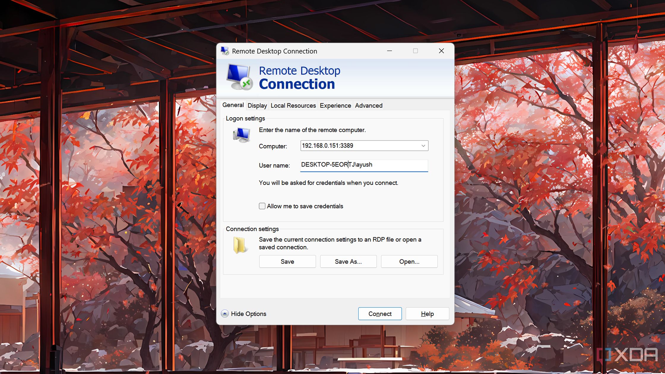 Accessing a Windows 11 VM using RDP