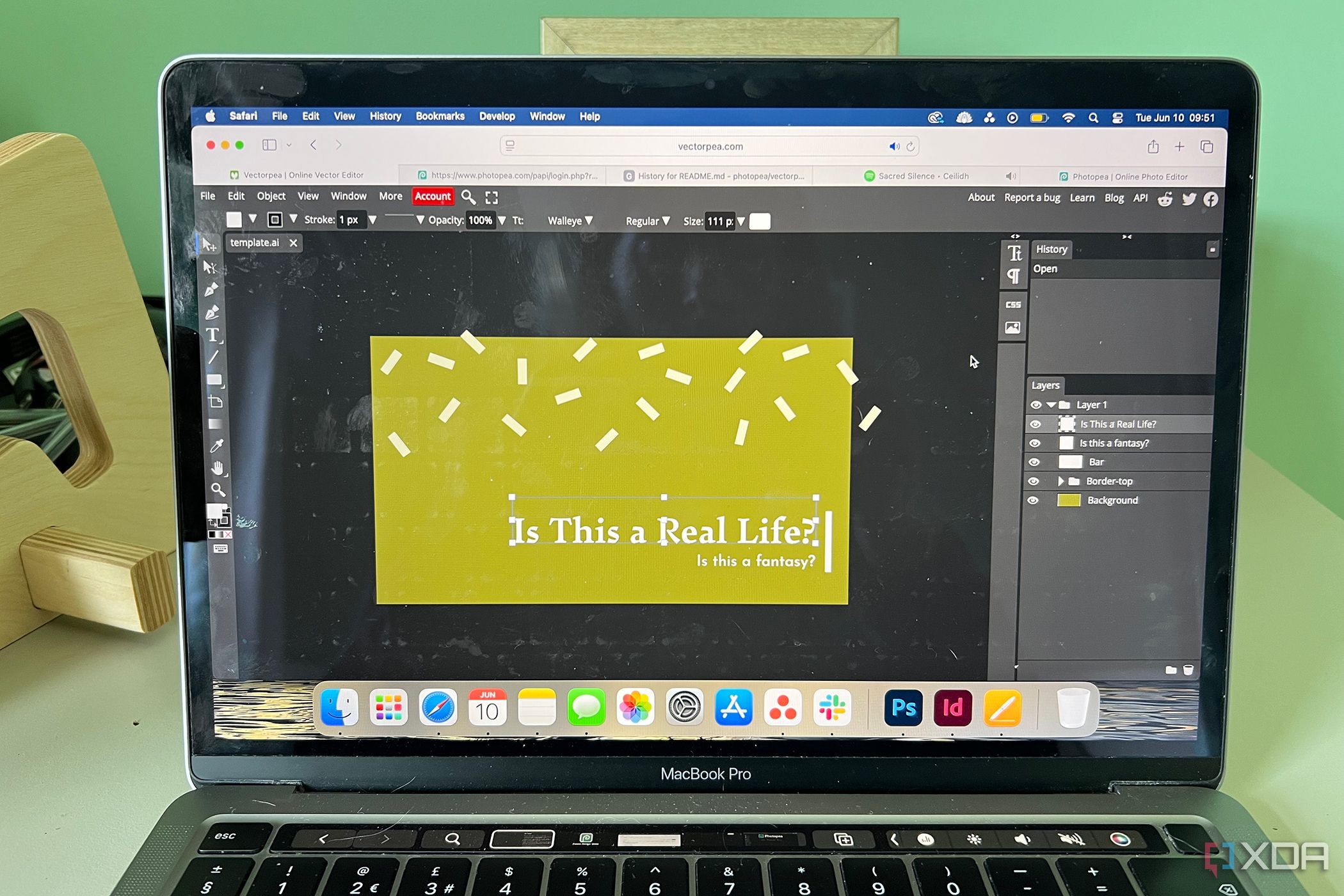 Vectorpea interface open on Macbook