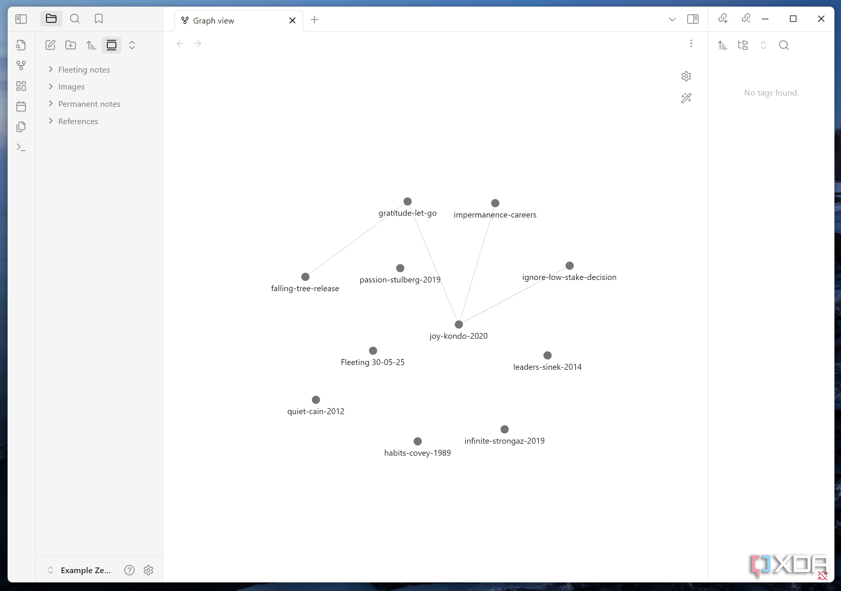 A screenshot of Zettelkasten's graph view.