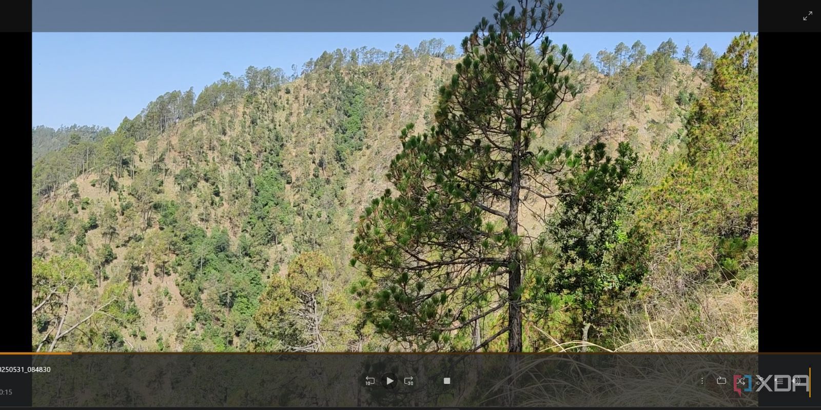 screenshot of plex video playback page webui